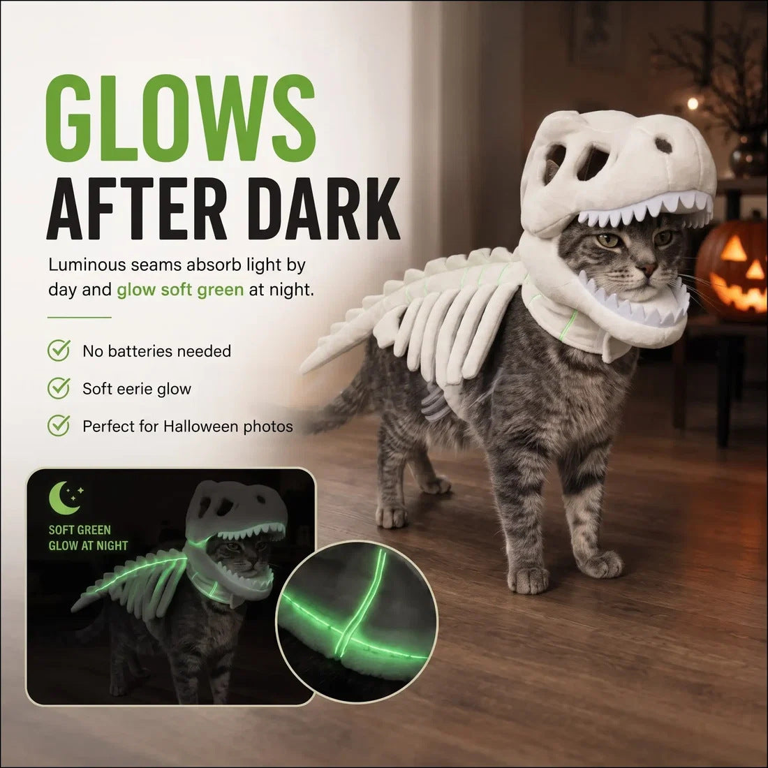 Dinosaur Skeleton Pet Costume